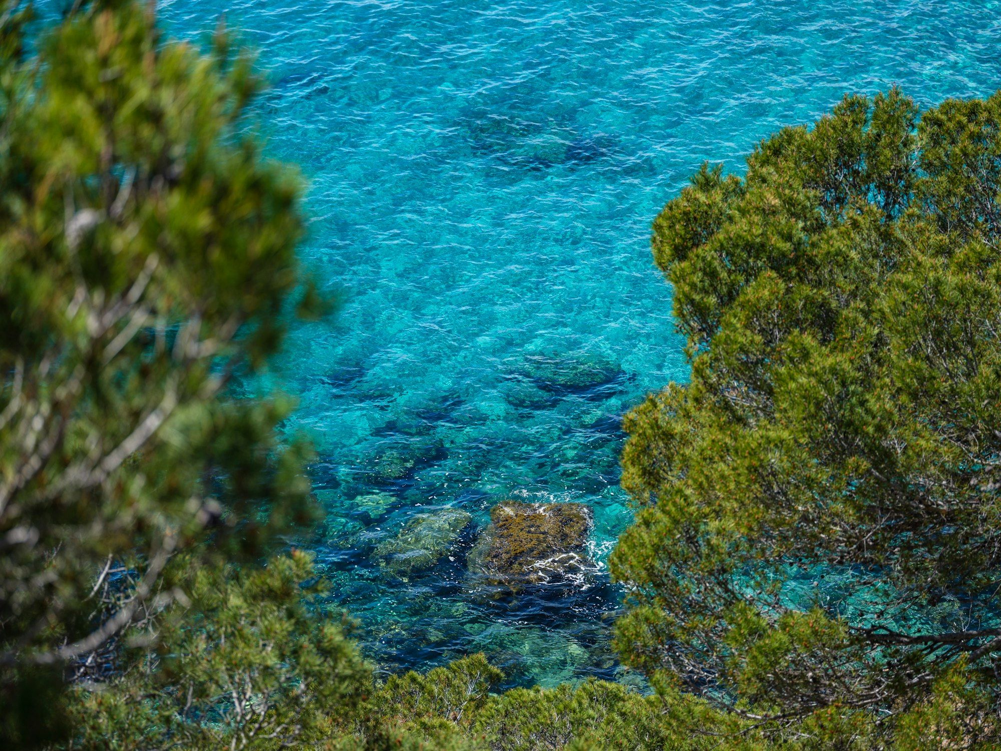 Beautiful views of protected islands